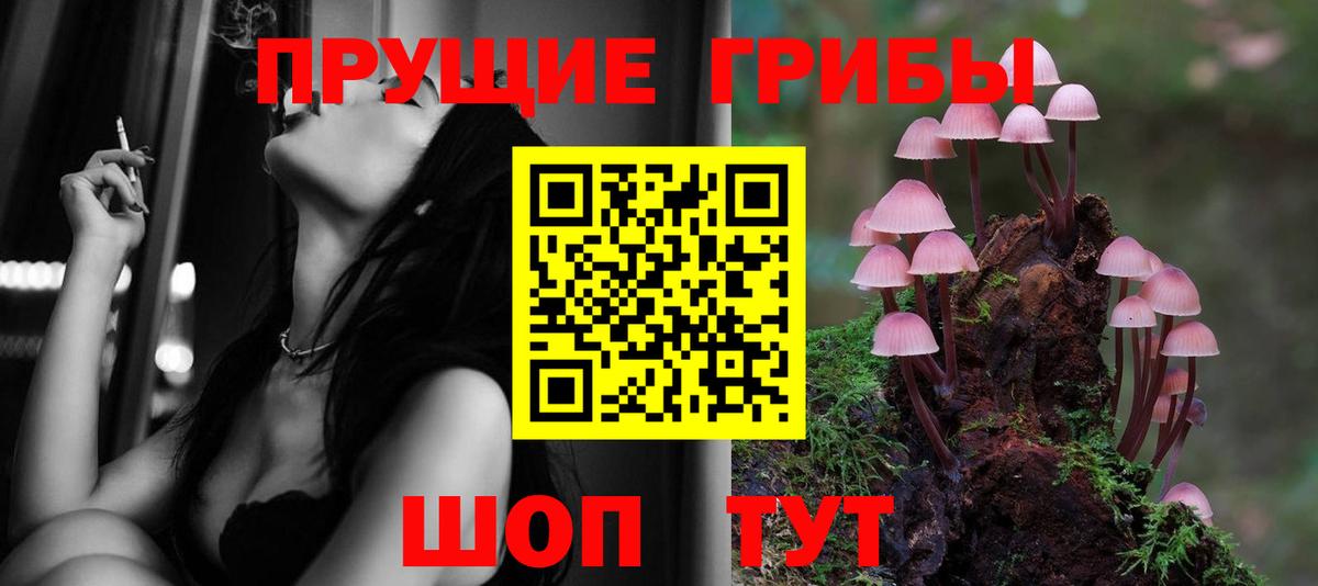 дарнет шоп  Вход с VPN  Ярцево  Псилоцибиновые грибы Magic Shrooms  Галлюциногенные грибы Cubensis 